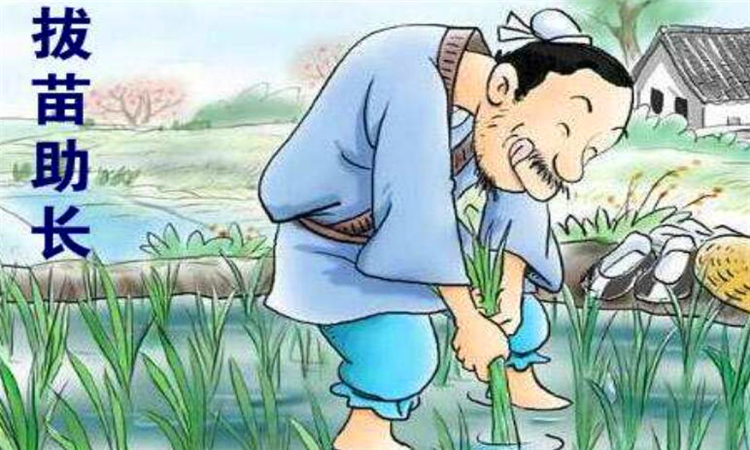 拔苗助长告诉我们什么道理