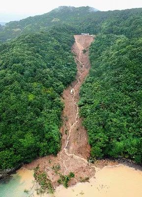 破坏森林可能会引发哪些自然灾害为什么