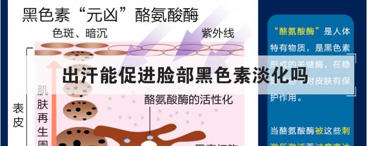 出汗能促进脸部黑色素淡化吗