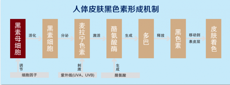 出汗能促进脸部黑色素淡化吗