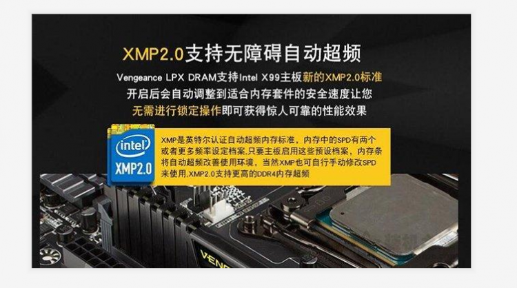 xmp是什么