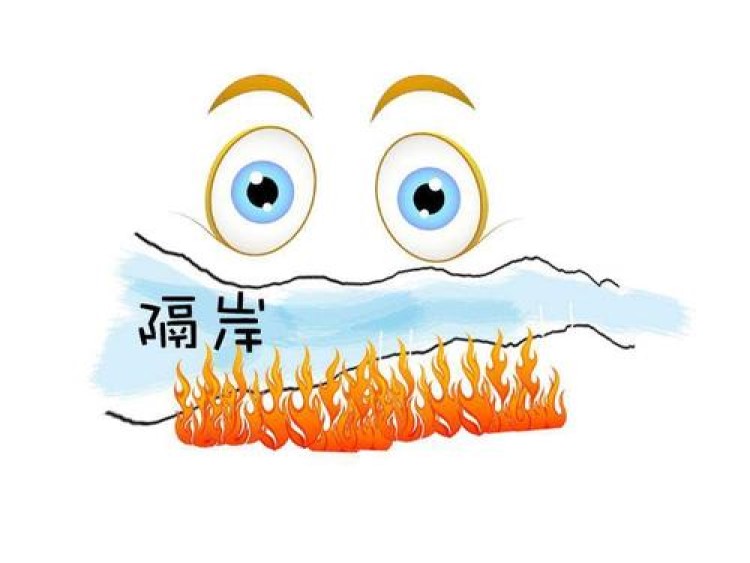 隔岸观火打一动物