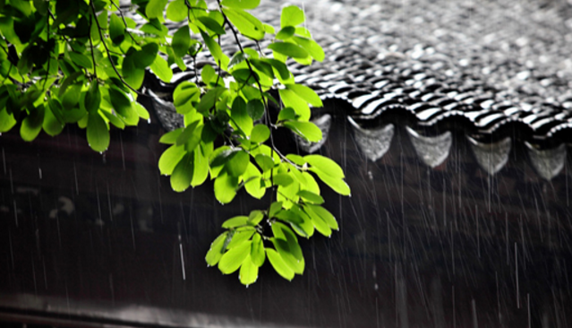 苏州梅雨季节