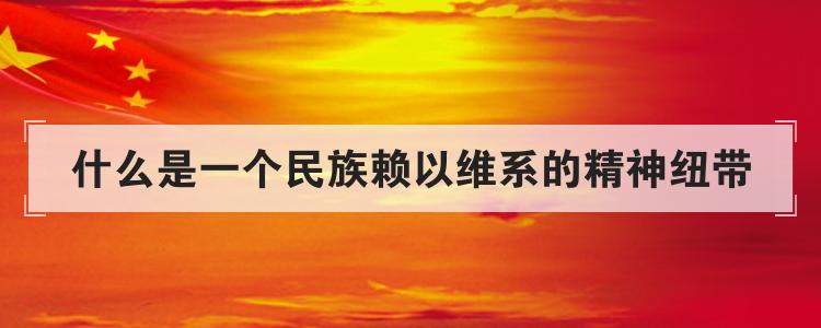 什么是一个民族赖以维系的精神纽带
