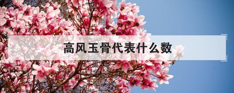 高风玉骨代表什么数