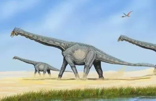 01阿根廷龙生活在1亿年前白垩纪中期阿尔布阶-9300万年前白垩纪晚期