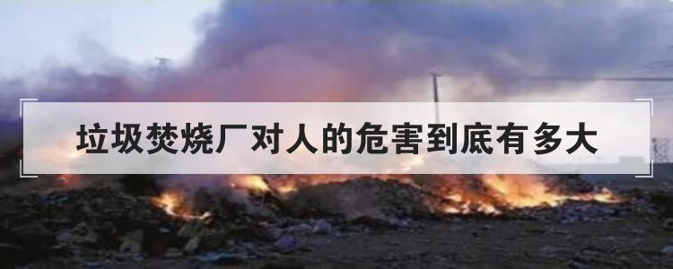 垃圾焚烧厂对人的危害到底有多大