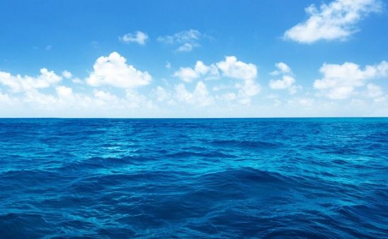 世界上最危险的海