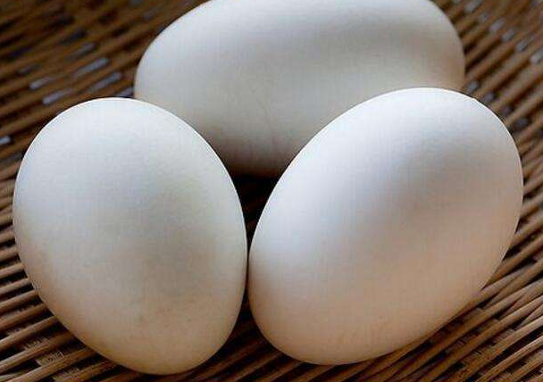 鸡蛋和鹅蛋的营养价值有什么不同