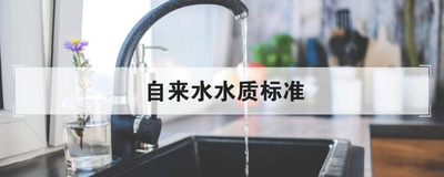 自来水水质标准