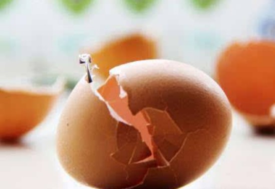 鸡蛋壳能吃吗