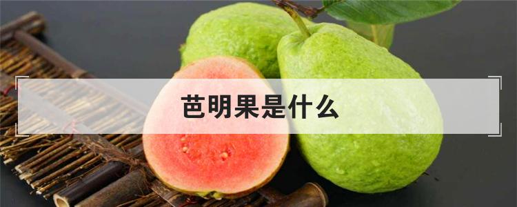 芭明果是什么