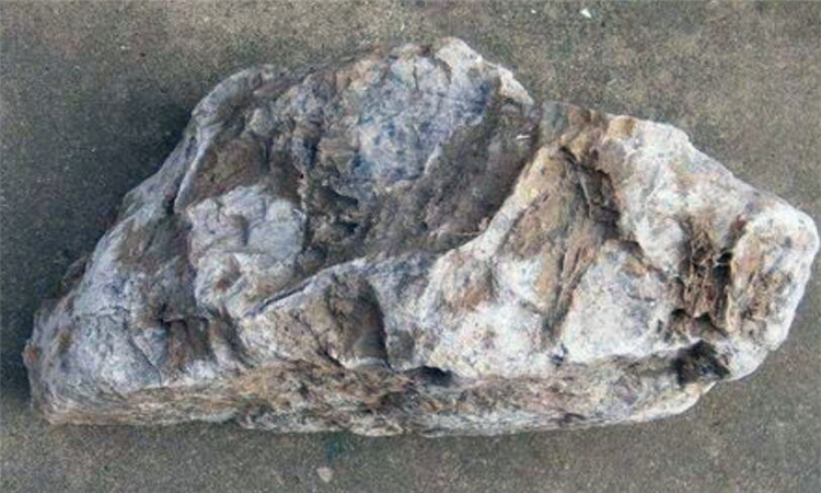 化石的形成
