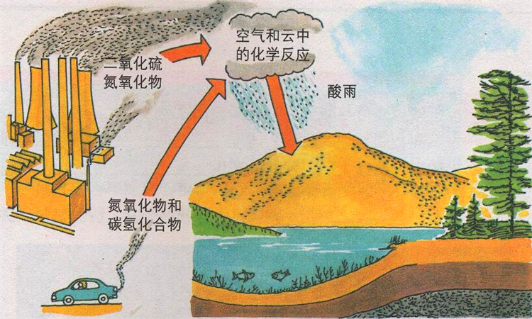 酸雨的危害