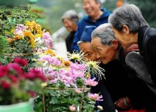 重阳节的习俗