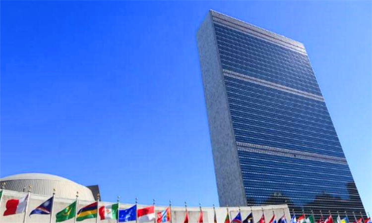 联合国总部设在美国的什么市