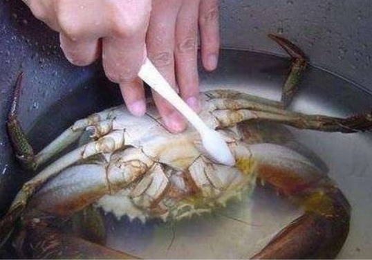 螃蟹怎么洗