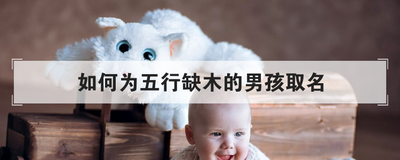 如何为五行缺木的男孩取名