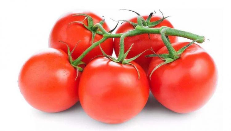 番茄可以生吃吗