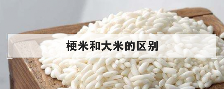 梗米和大米的区别