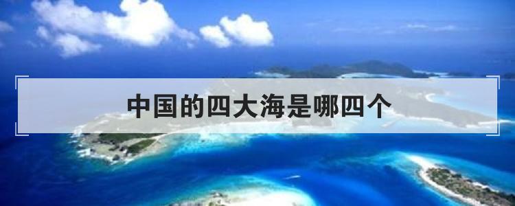 毗邻我国大陆边缘的渤海,黄海,东海,南海是中国的四大海.