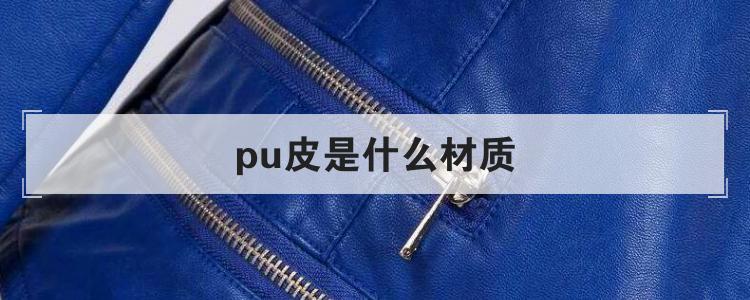 pu皮是什么材质