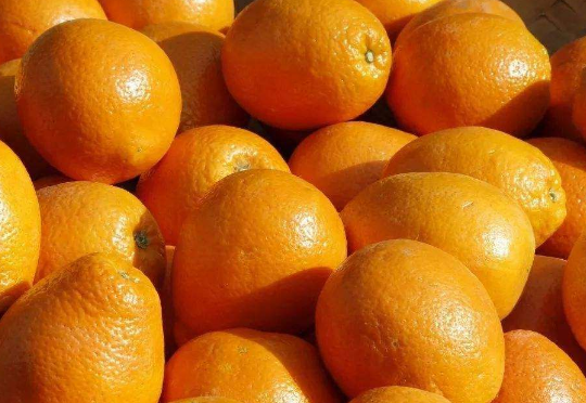 橙子为什么不能放冰箱