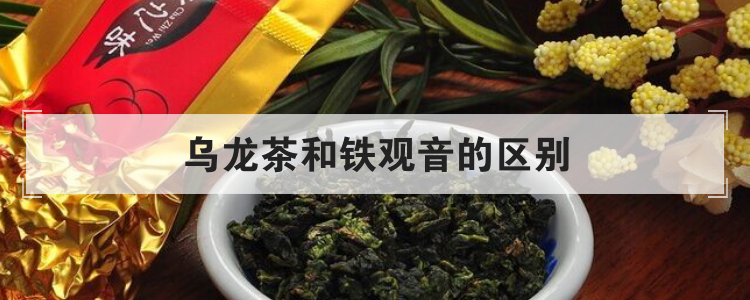 乌龙茶和铁观音的区别