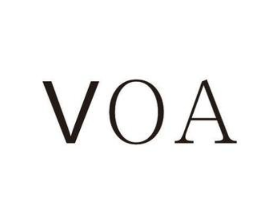 voa是什么