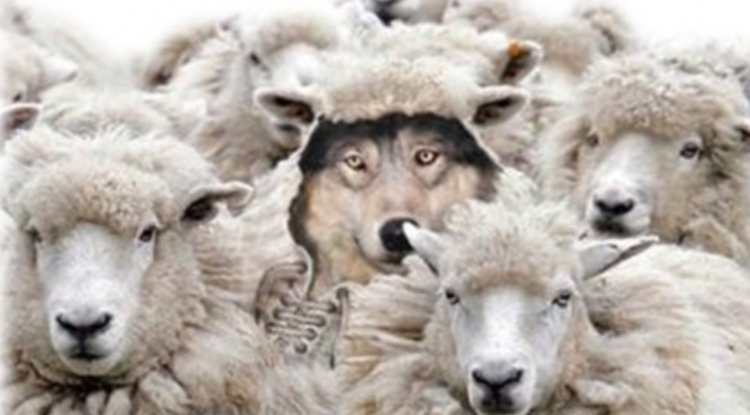 披着羊皮的狼是什么意思