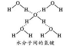 水的密度是多少？