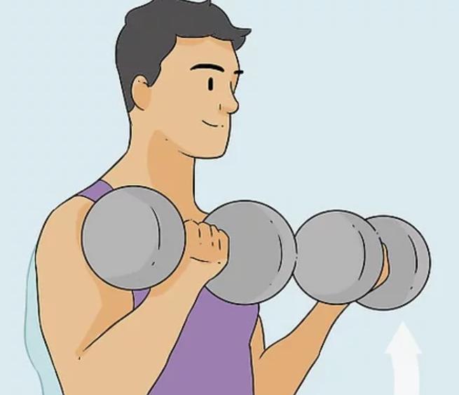 肱二头肌锻炼方法