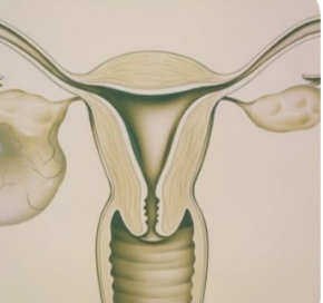 卵巢囊肿怎么治疗效果最好