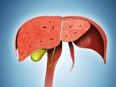 肝脏不好有什么表现症状有哪些