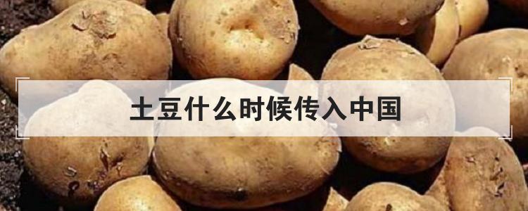 土豆什么时候传入中国