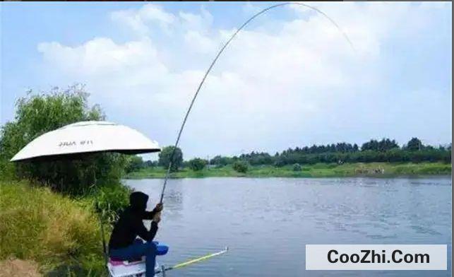 钓鱼的基本技术