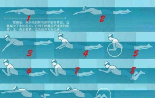 正确蛙泳姿势图解
