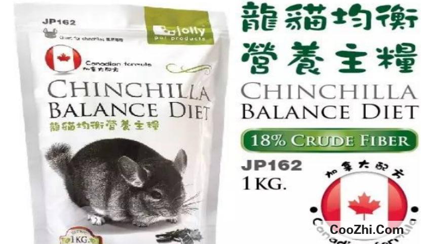 新手养龙猫快速上手技巧
