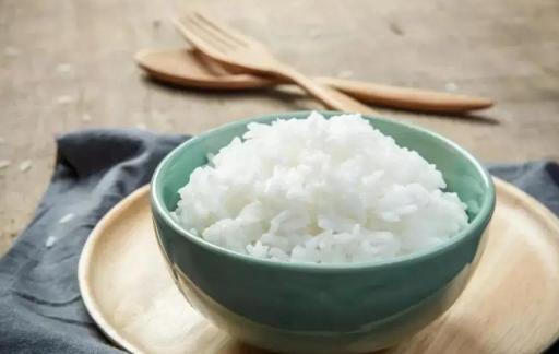 除了狗粮还要喂狗狗吃哪些食物