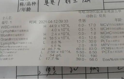 狗狗买回来要检测什么