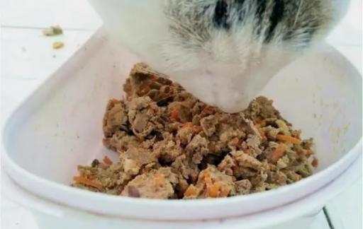 如何自制猫粮