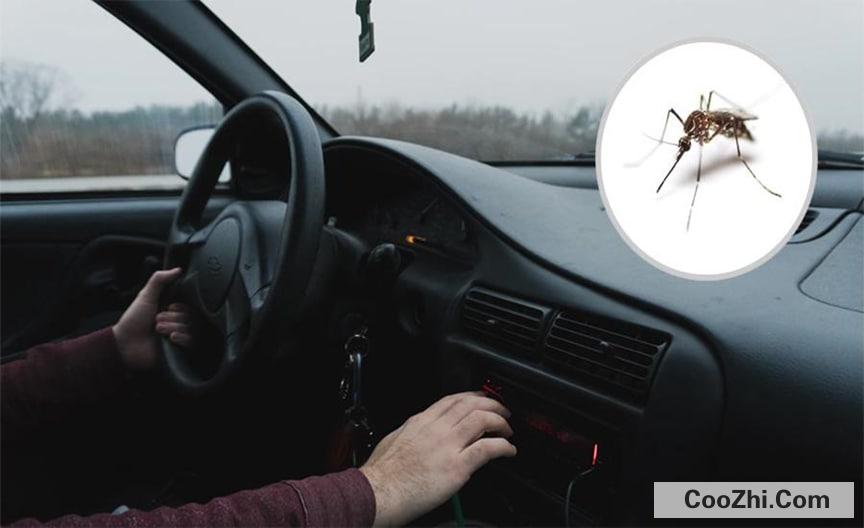车内有蚊子怎么办？
