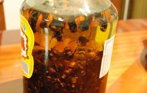 黄蜂泡酒的作用和功效
