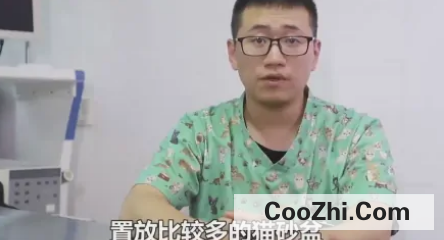 猫咪乱拉怎么办