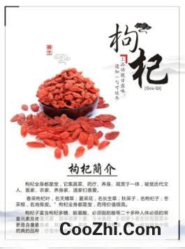 枸杞子有哪些功效和作用