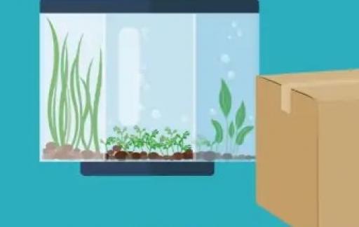 鱼缸内水泵噪音大怎么办