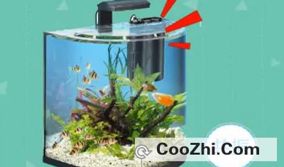 鱼缸内水泵噪音大怎么办