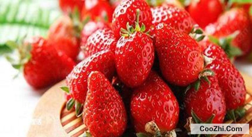 草莓的保鲜和储藏方法有哪些