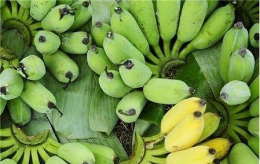 香蕉怎么看熟没熟的方法