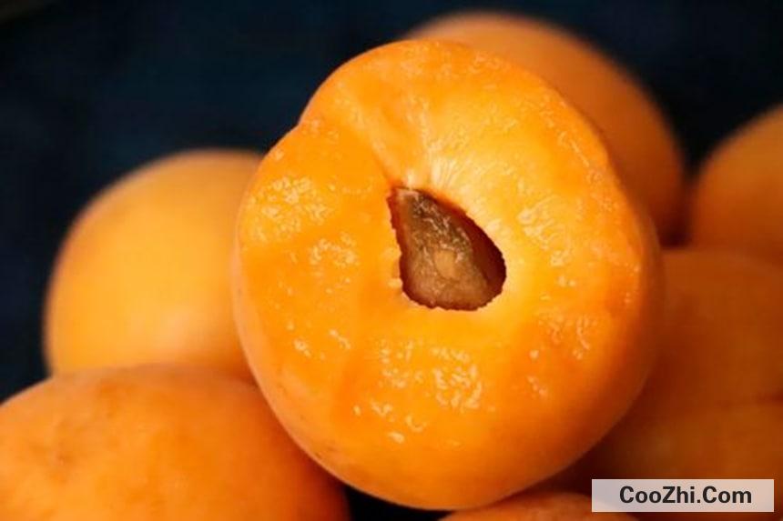 熟透的杏子该怎么保存